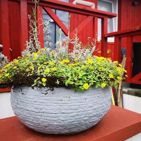 Apartmán Janusev Nida Exteriér fotografie